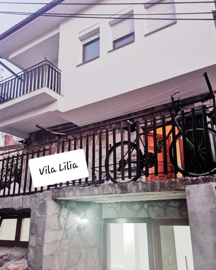 Lake View Apartment Ohrid Esterno foto